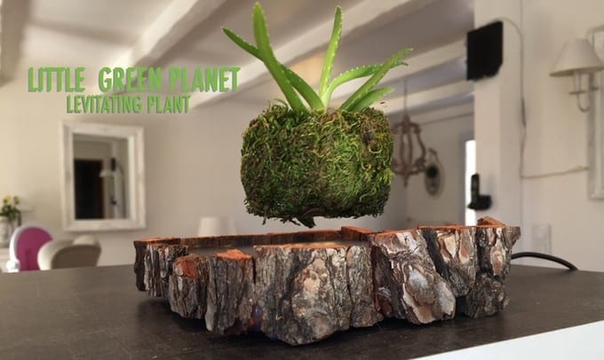 Proyecto Little Green Planet - Levitating Air Plant