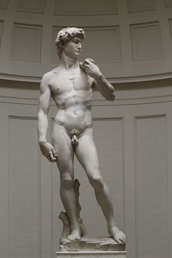 David, de Michelangelo Buonarroti