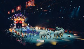 Entrevista a Miquel Llull Riera, un emprendedor en el Cirque du Soleil
