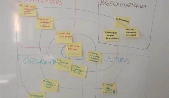 Sistemas de innovación espontáneos, Bottom up innovation model