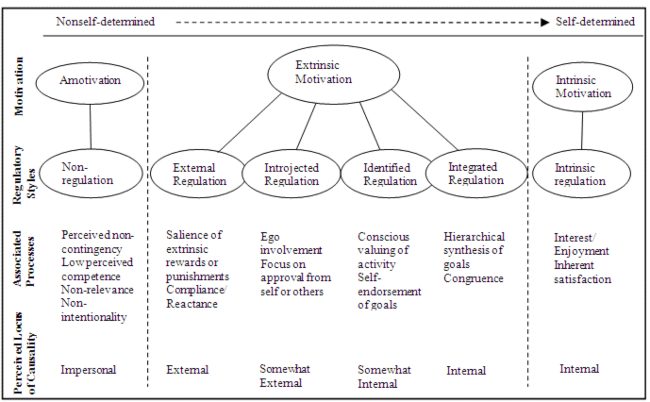 teoria de la autodeterminación